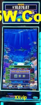 Live Casino XXvip
